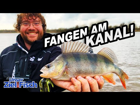 WINTER BARSCHE am NORD-OSTSEE-KANAL: STRUKTUR LESEN & VERTRAUEN - Unser Ziel ist Fisch - Angelschule