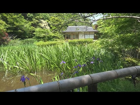 東山動植物園　癒しのスポット 也有園