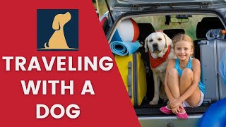 Traveling With A Dog Safely and Easily
