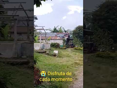 Campo, Los Andes en mi corazón. #losandes #santabarbara #suchitepéquez #guatemala