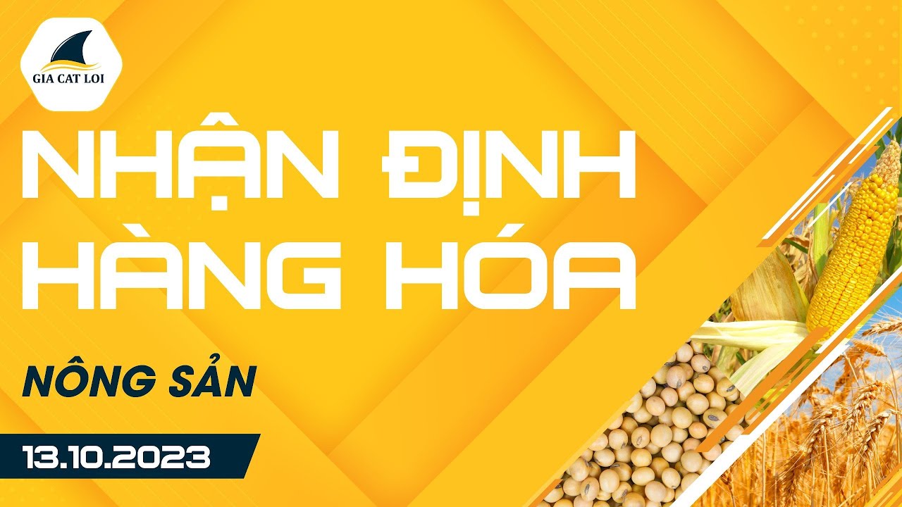 Nhận Định Hàng Hoá Nông Sản Ngày 13/10/2023