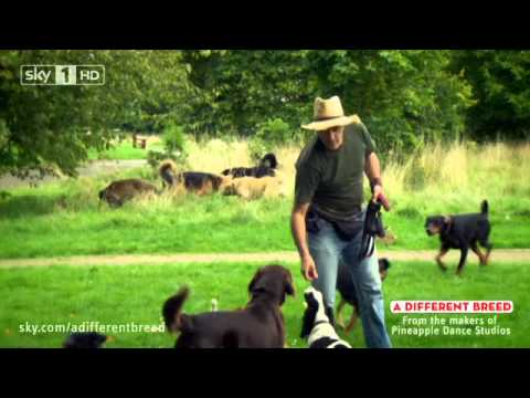 A Different Breed Ep3 Dog Behaviourist