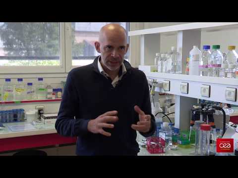 Radiothérapie : contrer la résistance de la tumeur