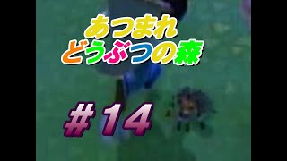 こうかばつぐんだ！【あつまれどうぶつの森】＃１４