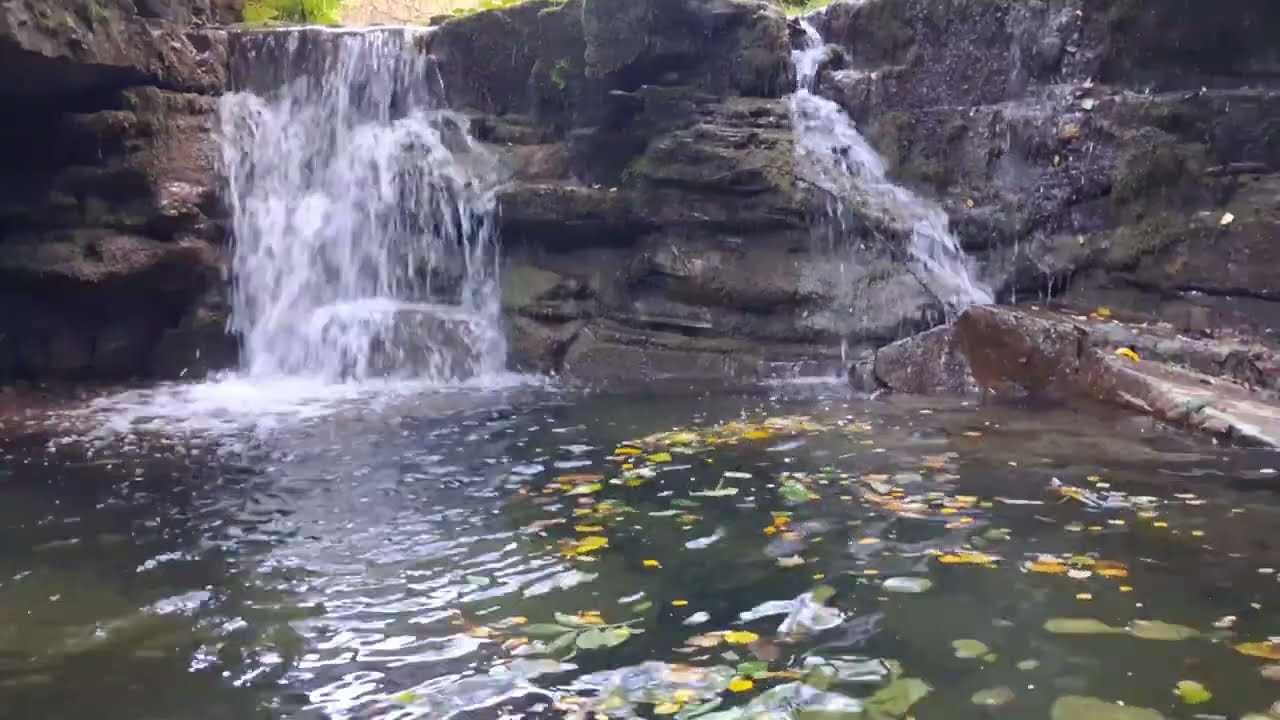 Relaxing Forest Waterfall