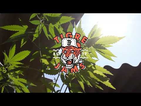 Sombras - Abraham all G ft Gramos (Prod. D´ele) (Audio Oficial) El Tigre Jams