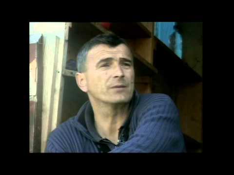 252. izdanje 60 minuta (07.04.2008)