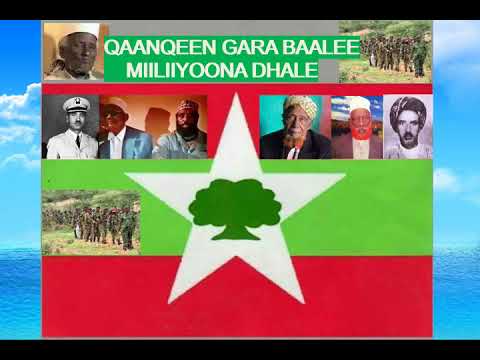 AMAN NYAFARO-Qaanqee Baalee