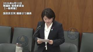 2026年6月12日衆議院 環境委員会【一般質疑】国民民主党 鍋島せり議員 #国民民主党 