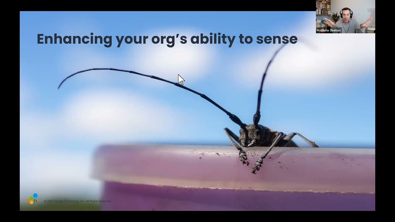 Observability in Sociotechnical Systems: How to Use Telemetry Data to Inform Software and Org Design