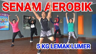 Download lagu Senam Aerobik Bakar musnahkan 5 kg Lemak dan kalori mp3