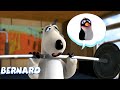 Bernard Bear The Gym 2 Super Toons TV Best Cartoons
