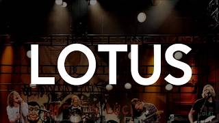 Cage The Elephant – Lotus / En español