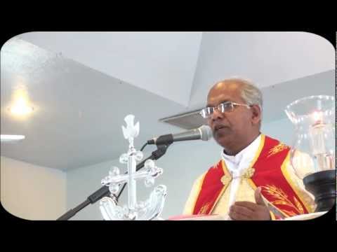 SUNDAY HOMILY-06/17/2012