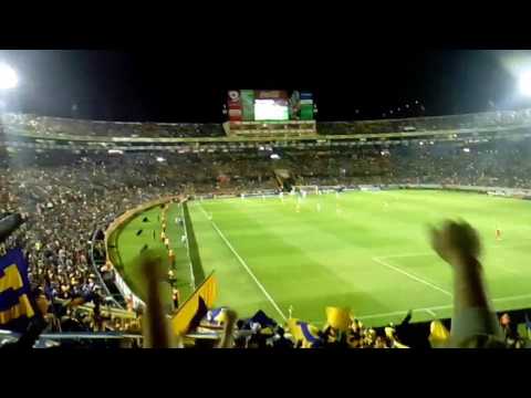 "Libres Y Lokos - Hincha De Tigres Cual Es Su Profesión?" Barra: Libres y Lokos • Club: Tigres