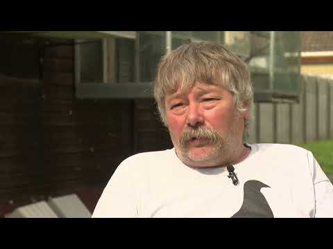 De Constateur:Jan Van der Straeten