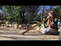 Does this tortoise enjoy the didgeridoo? 🐢