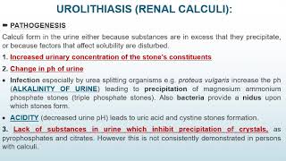 Download the video "Kidney 4 Stones, Tumors and Renal failure 2025 2026"