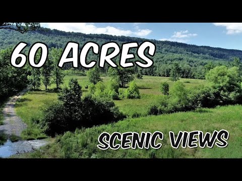 60+/- Acres - Alabama Land For Sale - Feels like a Yellowstone Ranch