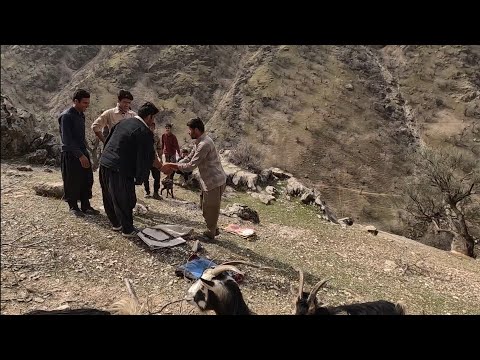 The hard operation of Atabek and his neighbors to pass the goats through the strait