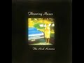 Throwing Muses - Golden Thing (Live)