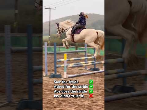 ALWAYS TRUST YOUR EYE IN SJ #horse #showjumping #equestrian #horseriding #pony #horsefan #horselover