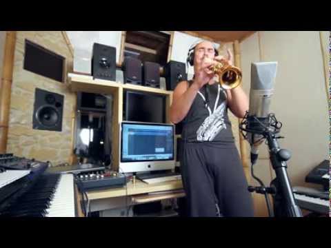 Toss The Feathers (Traditional Irish Reel)