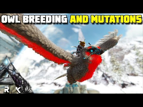 SNOW OWL BREEDING AND MUTATIONS | ARK:EXTINCTION [EP21]