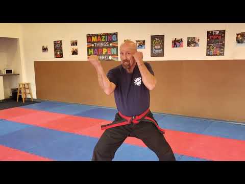 Freedom School of Martial Arts FORMS: Freedom Form One
