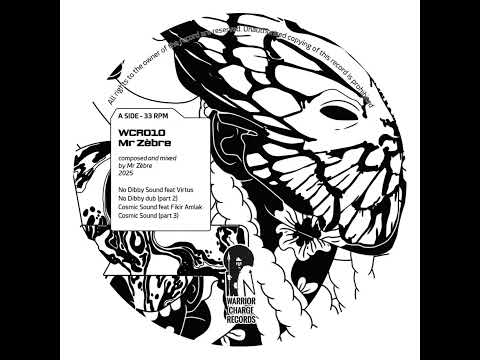 Mr Zebre - A Path in Between (12" vinyl version) - side A (preview)