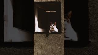 Download lagu pesawat tempur -iwanfals #storywa #shortvideo #shorts mp3 Download lagu pesawat tempur -iwanfals #storywa #shortvideo #shorts mp3