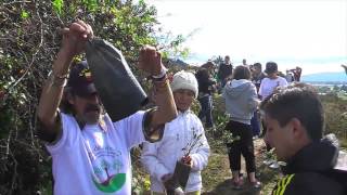 Native tree planting day with ToTTo