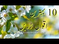 10 Best Aqwal e zareen in Urdu | Best Quotes in Hindi | Golden words in urdu | Aqwal e zareen