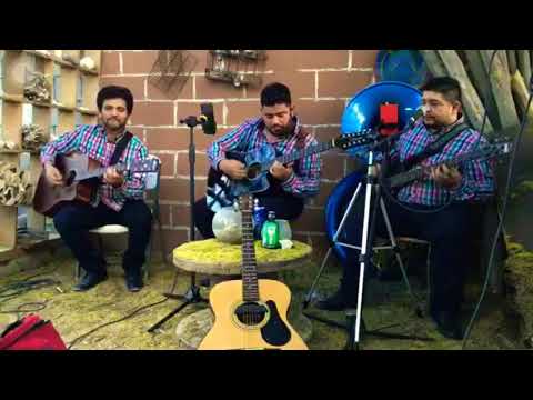 Me gusta tener de a dos CLAVE 638 en vivo (cover)