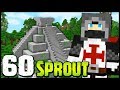 🎁 Meglepi & Jungle Dungeon - Sprout 60 🎁 Meglepi & Jungle Dungeon - Sprout 60
