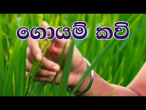 ගොයම් කවි (goyam kavi)