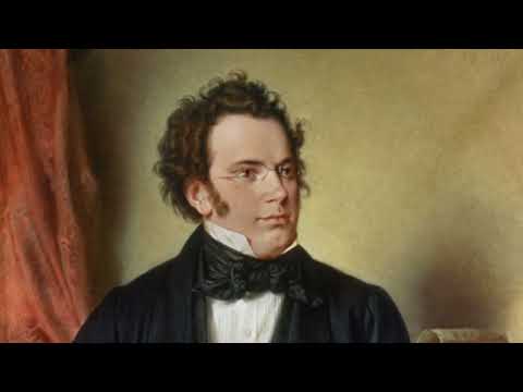 Franz Schubert - String Quintet in C Major Op.163 D.956 (Blumenschein,Ratiu,N.N,Basset,Deffner)