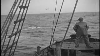 Stan Rogers - Free In The Harbour