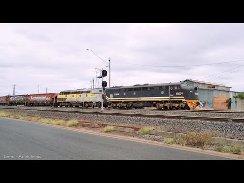 Southern Shorthaul Railroad Broad Gauge Grain Train With S312 & S317 (28/2/2023) - PoathTV Railways