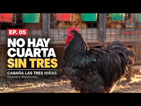 EPISODIO 5 – “No Hay Cuarta Sin Tres” – Cabaña Las Tres Niñas, de Nazareno Maldonado