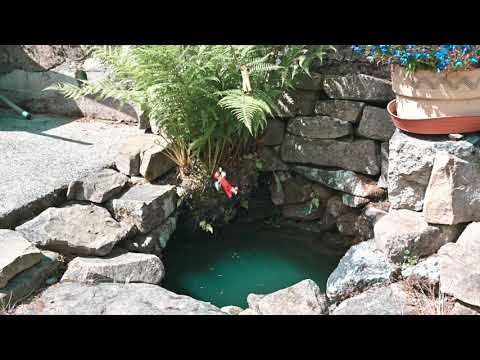 Šramot projekt Kečica Horčup - Kečica Horčup - Alzheimer