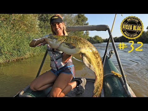 Wenn dein Waller plötzlich zum Köder wird….