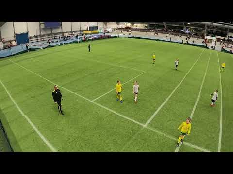 ILVES - HAKA P2013 (Harmaa)