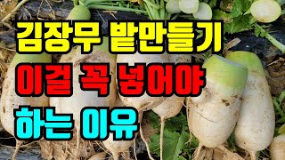 김장무 파종시기 밭만들때 이것 꼭 넣어야지 안넣으면 생리장애 생겨요