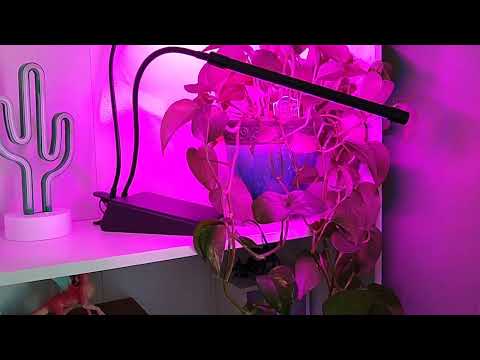Gardenline Dual Head Plant Grow Light