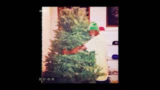 Cindy Lou’s wish extended