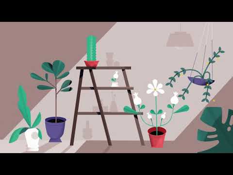 Seed & Stem — Seed & Stem