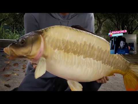 Fishing Sim World - Two Trophy Carp and a Personal Best on Manor Farm!!!!