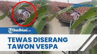 Detik-detik Warga Cilacap Tewas Diserang Tawon Vespa saat Bersihkan Toren, Terjebak 30 Menit