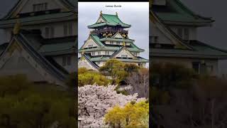 Download lagu KEINDAHAN BUNGA SAKURA DI JEPANG | PESONA MUSIM SEMI YANG MEMUKAU #shorts#bungasakura#japan mp3